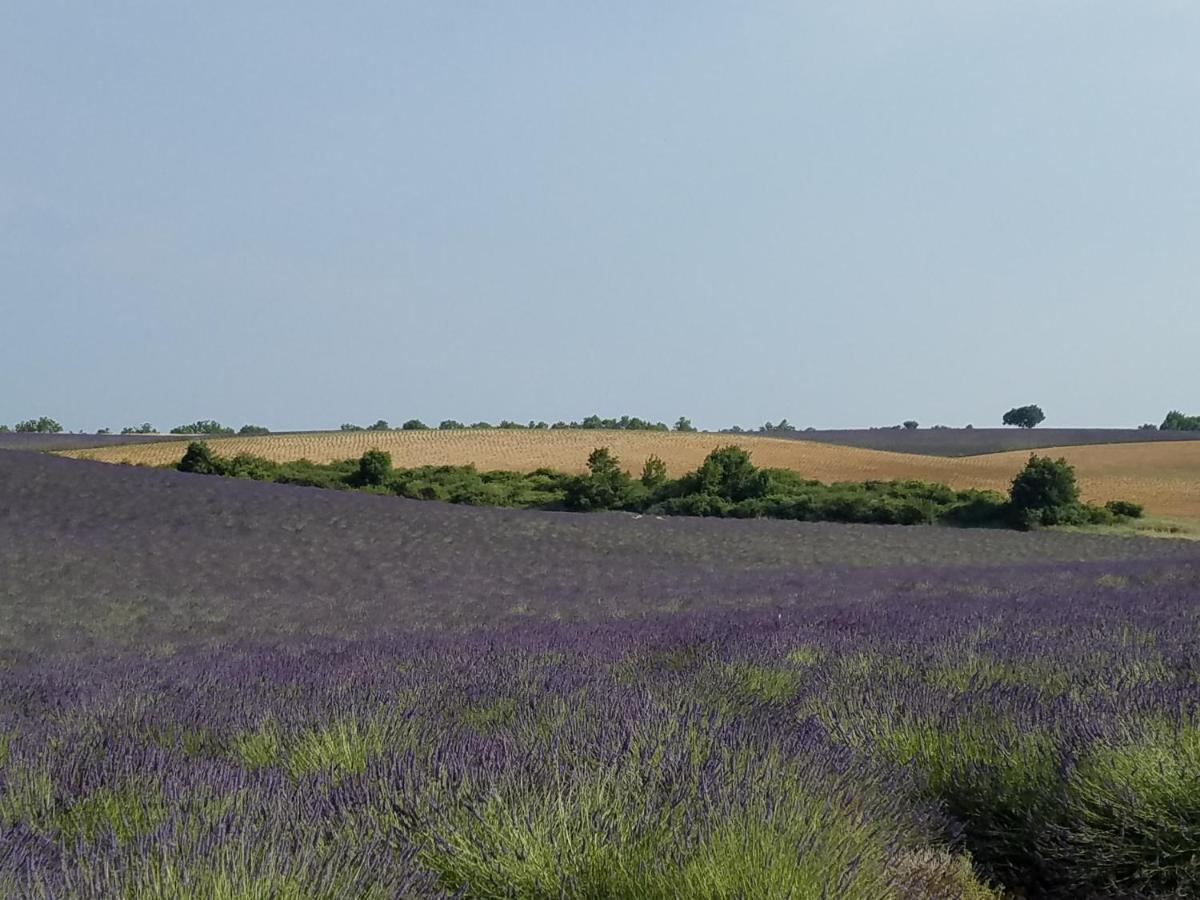 Gite Les Fourches Baudinard ภายนอก รูปภาพ